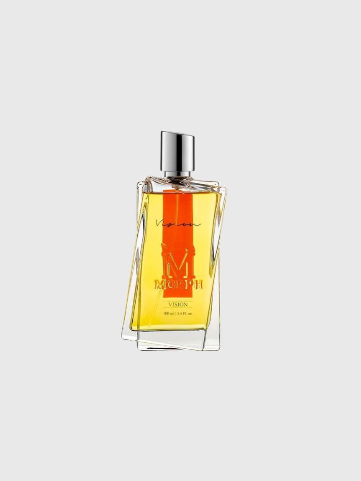 VISION 100 ml